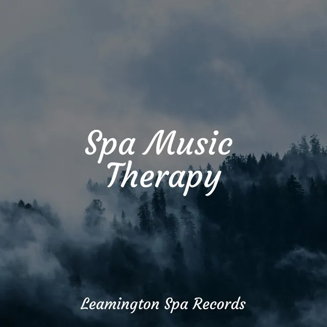 Spa Music Therapy