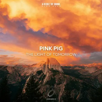 The Light of Tomorrow by Pink Pig