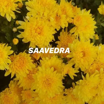 SAAVEDRA by Finney