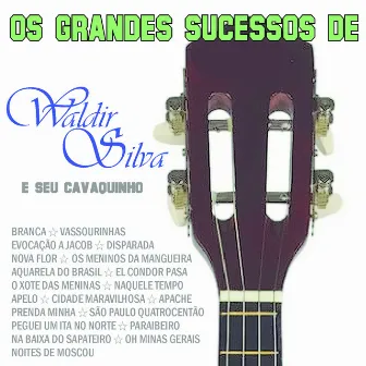 Os Grandes Sucessos de Waldir Silva by Waldir Silva