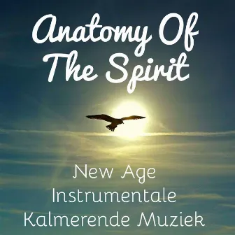 Anatomy Of The Spirit - New Age Instrumentale Kalmerende Muziek voor Ayurvedic Massage Mindfulness Oefeningen en Diepe Slaap by Chakra Balancing Sound System