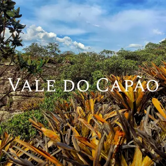 Vale do Capão by Guaraci