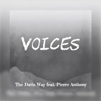 Voices by The Davis Way