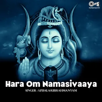 Hara Om Namasivaaya by Arvind