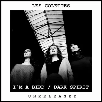 Unreleased by Les Colettes