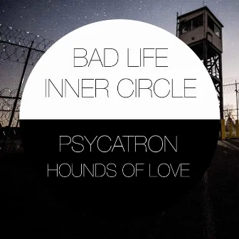 Psycatron Presents Hounds of Love by Psycatron