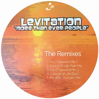 More Than Ever People (The Remixes) by Levitation