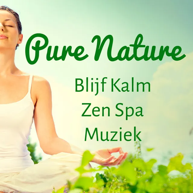 Pure Nature - Blijf Kalm Zen Spa Muziek voor Concentratie Verbeteren Geleide Meditatie en Spirituele Training