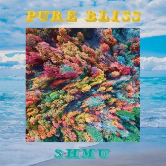 Pure Bliss (Remastered) by Shmu