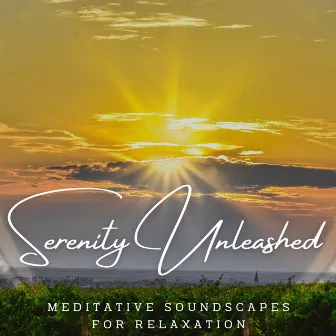 Serenity Unleashed: Meditative Soundscapes for Relaxation by Roseblue