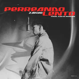 PERREANDO LENTO by Zakyo