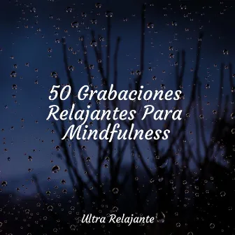 50 Grabaciones Relajantes Para Mindfulness by Música ambiental relajante