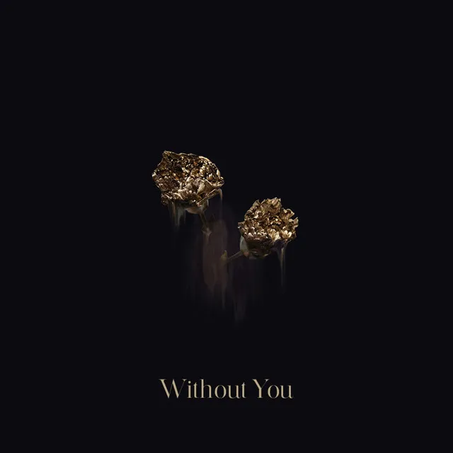 Without You