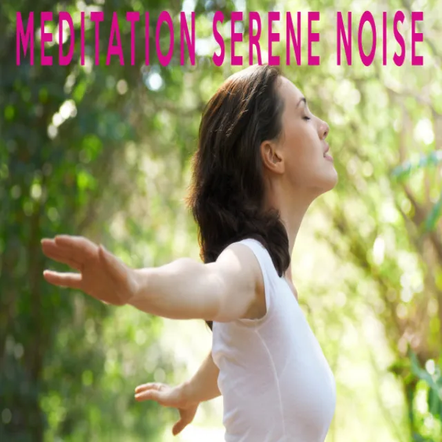 MEDITATION SERENE NOISE