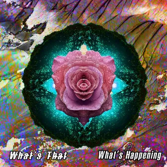 What's Happening (Radio Mix) by What's That