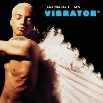 Sananda Maitreya's Vibrator by Sananda Maitreya