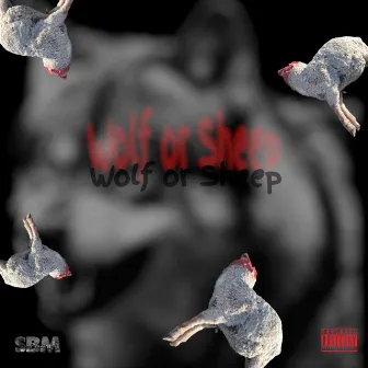 Wolf Or Sheep by Stacka Blam