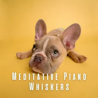 Meditative Piano Whiskers: Relaxing Tune for Dogs by The Dog Relaxer