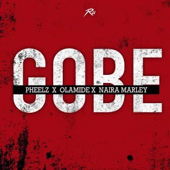 Gobe by Naira Marley