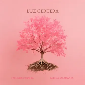 Luz Certera by Facundo Cabrera