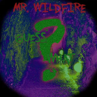 Guess What by Mr. WildFire