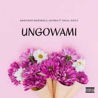 Ungowami by Amapiano Madness