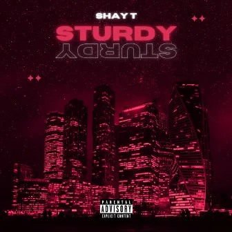 Sturdy! (Remix) by Shay T