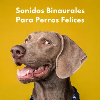 Sonidos Binaurales Para Perros Felices by Perro dormir