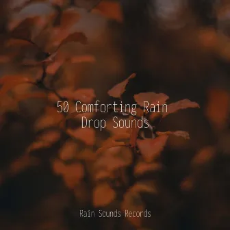 50 Comforting Rain Drop Sounds by Sons da Natureza