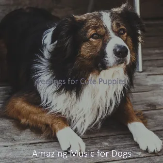 Feelings for Cute Puppies by Amazing Music for Dogs