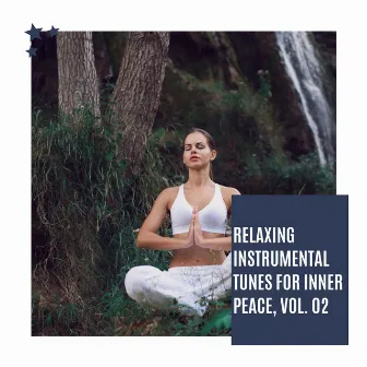 Relaxing Instrumental Tunes for Inner Peace, Vol. 02 by Lillian Rocher