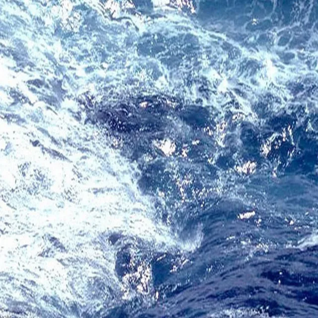 Flock of Sea Gulls Dancing Above the Crashing Sea