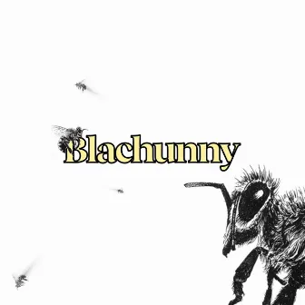 Blachunny by YTK