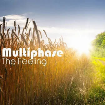 The Feeling by Multiphase