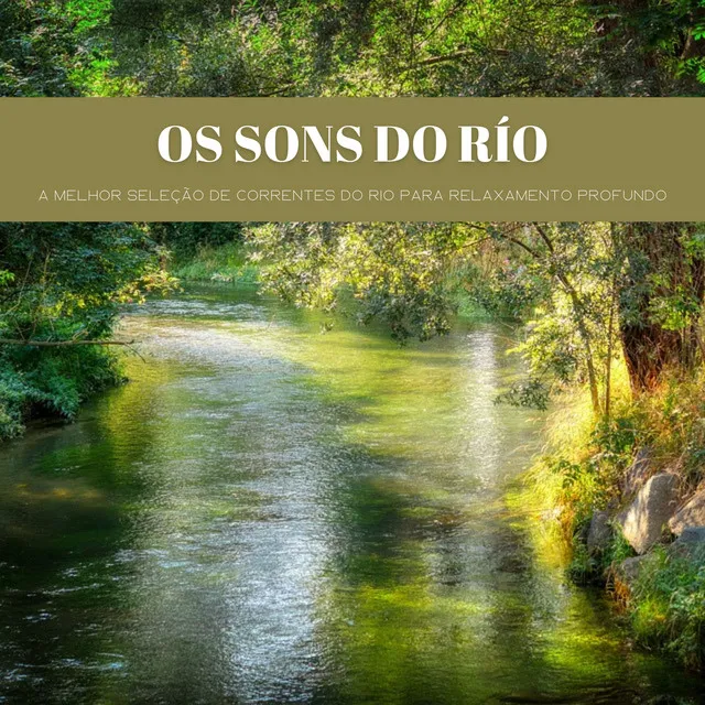 Os Sons Do Río: A Melhor Seleção De Correntes Do Rio Para Relaxamento Profundo