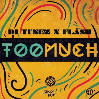 Too Much by Flash