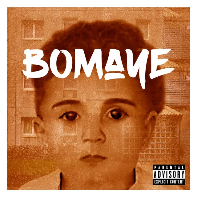 Bomaye (feat. Livid & MellemFingaMuzik)