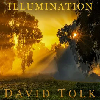 Illumination by David Tolk