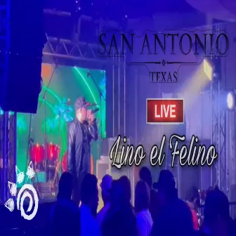 San Antonio, Texas (Live) by Lino el Felino