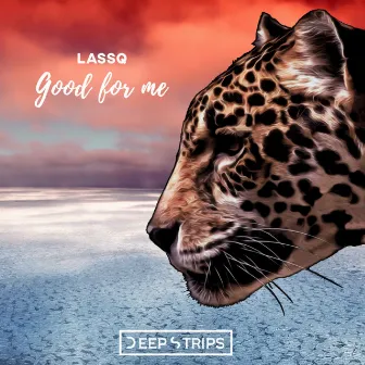 Good For Me by Unknown Artist