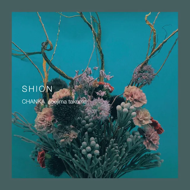 Shion(仮)