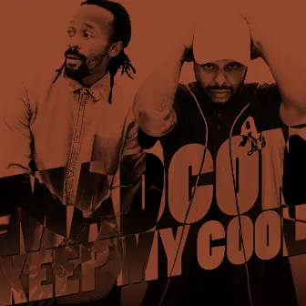 Keep My Cool by Madcon