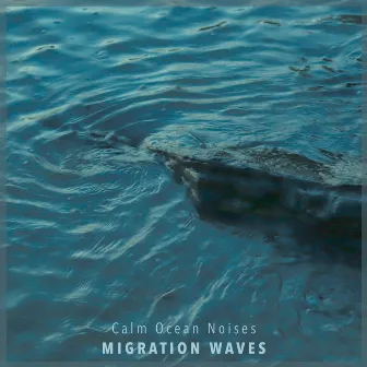 Calm Ocean Noises by Migration Waves