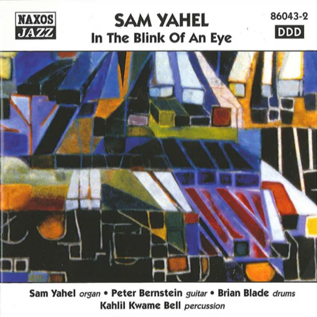 Yahel, Sam: In the Blink of an Eye