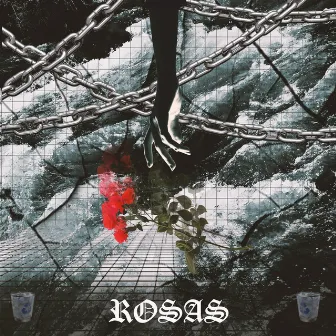 Rosas by Naen