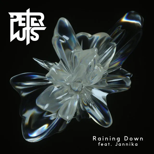 Raining Down - Radio Edit