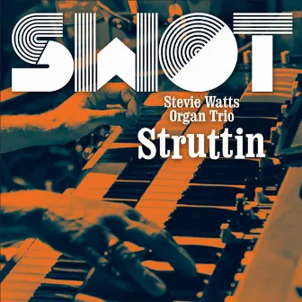 Struttin by The Stevie Watts Organ Trio