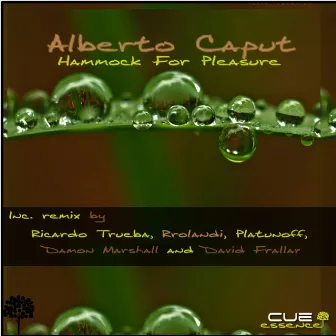 Hammock For Pleasure The Remixes by Alberto Caput