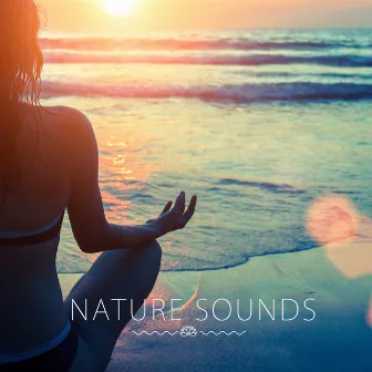 Nature Sounds by Binaural Beats Zen Sleep Music