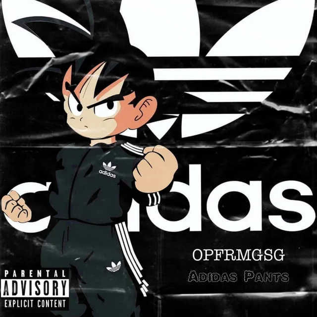 Adidas Pants (Freestyle)